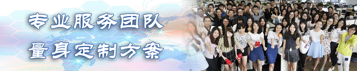 防城港BI软件